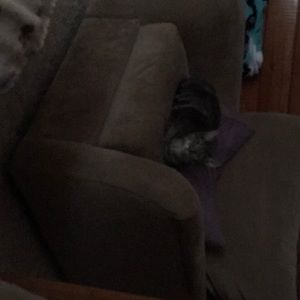 Meet your Posher, Cathy